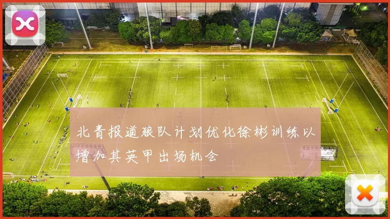 北青报道狼队计划优化徐彬训练以增加其英甲出场机会