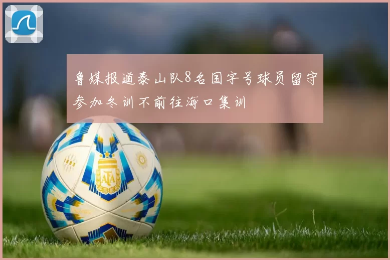 鲁媒报道泰山队8名国字号球员留守参加冬训不前往海口集训